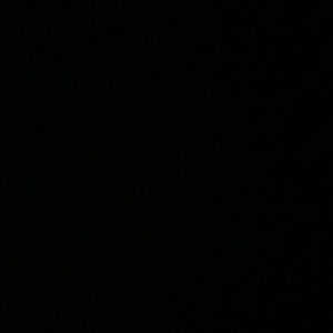 Meet your Posher, Lupe